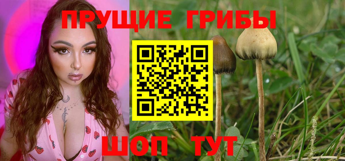 Псилоцибиновые грибы ЛСД Тихорецк