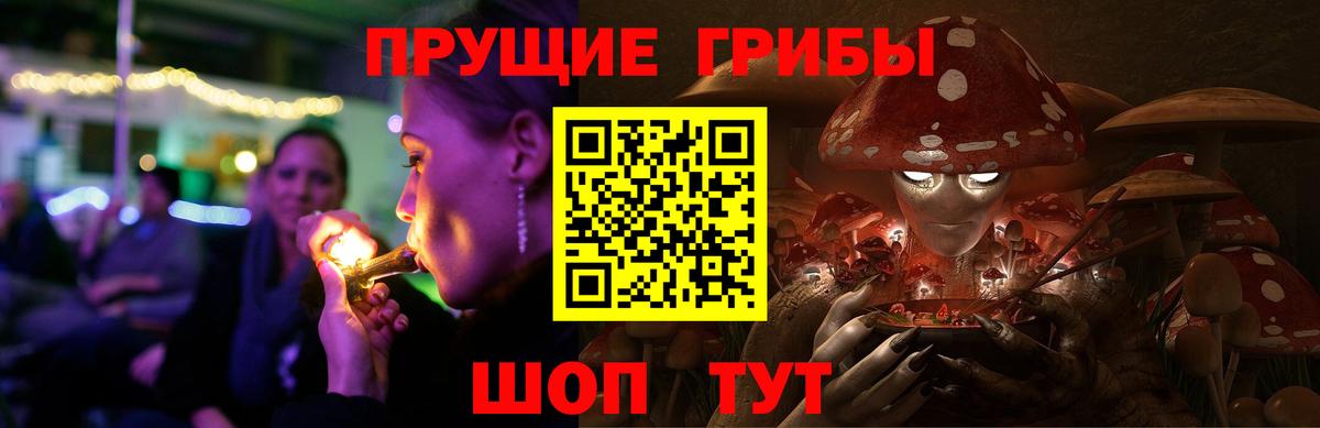 Галлюциногенные грибы Psilocybe  Галлюциногенные грибы MAGIC MUSHROOMS  Тихорецк  Вход с VPN 